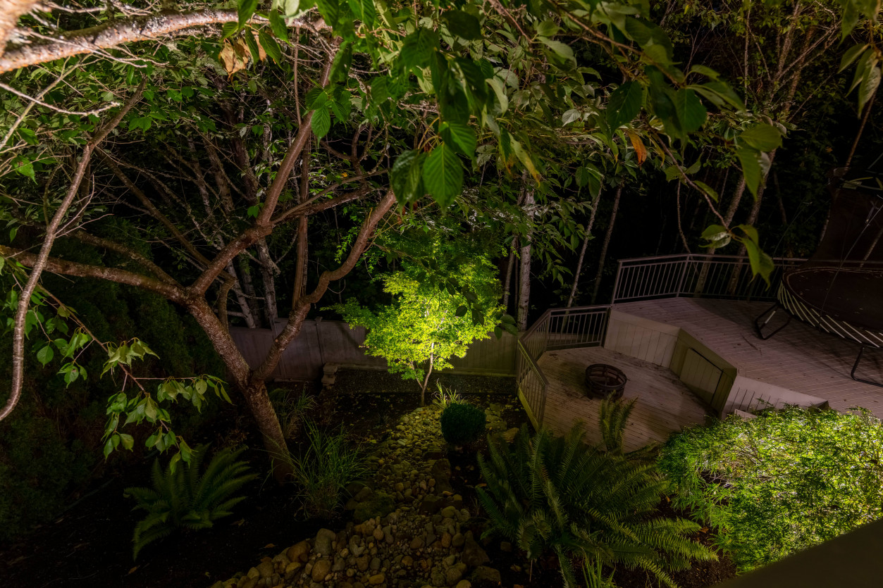 Pathway and garden bed lighting with warm 2700K accents illuminating natural stone and greenery in Sammamish backyard — Northwest Outdoor Lighting.