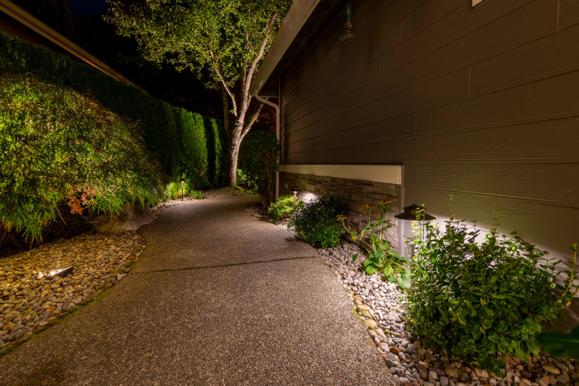Illuminated side path lined with greenery and warm 2700K landscape lighting at Sammamish residence — Northwest Outdoor Lighting.