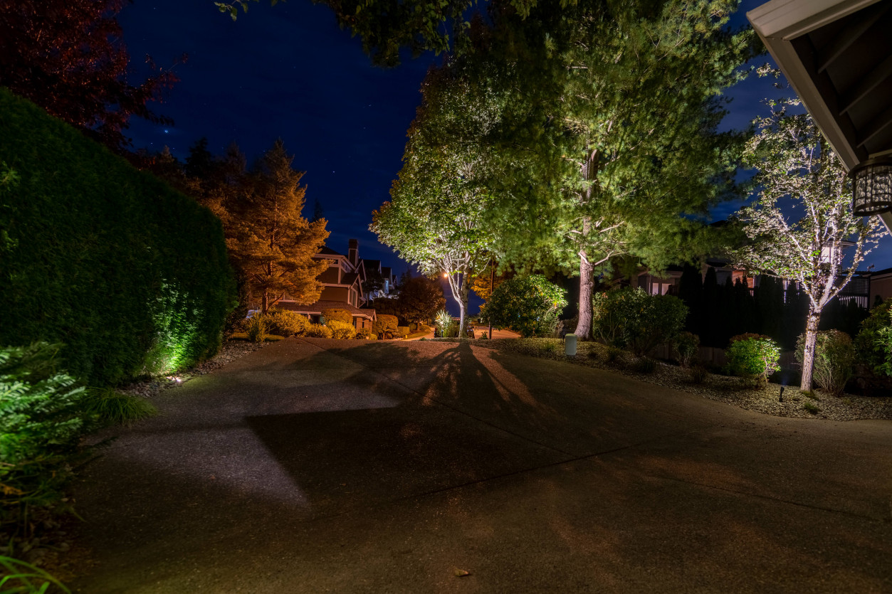 Driveway and mature tree uplighting using 2700K fixtures for soft ambient illumination at Sammamish property — Northwest Outdoor Lighting.