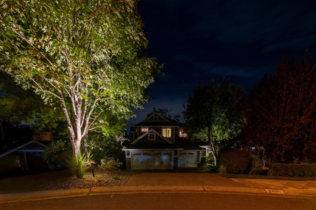 Front yard tree uplighting with street-side landscape illumination at Sammamish residence using 2700K lighting — Northwest Outdoor Lighting.