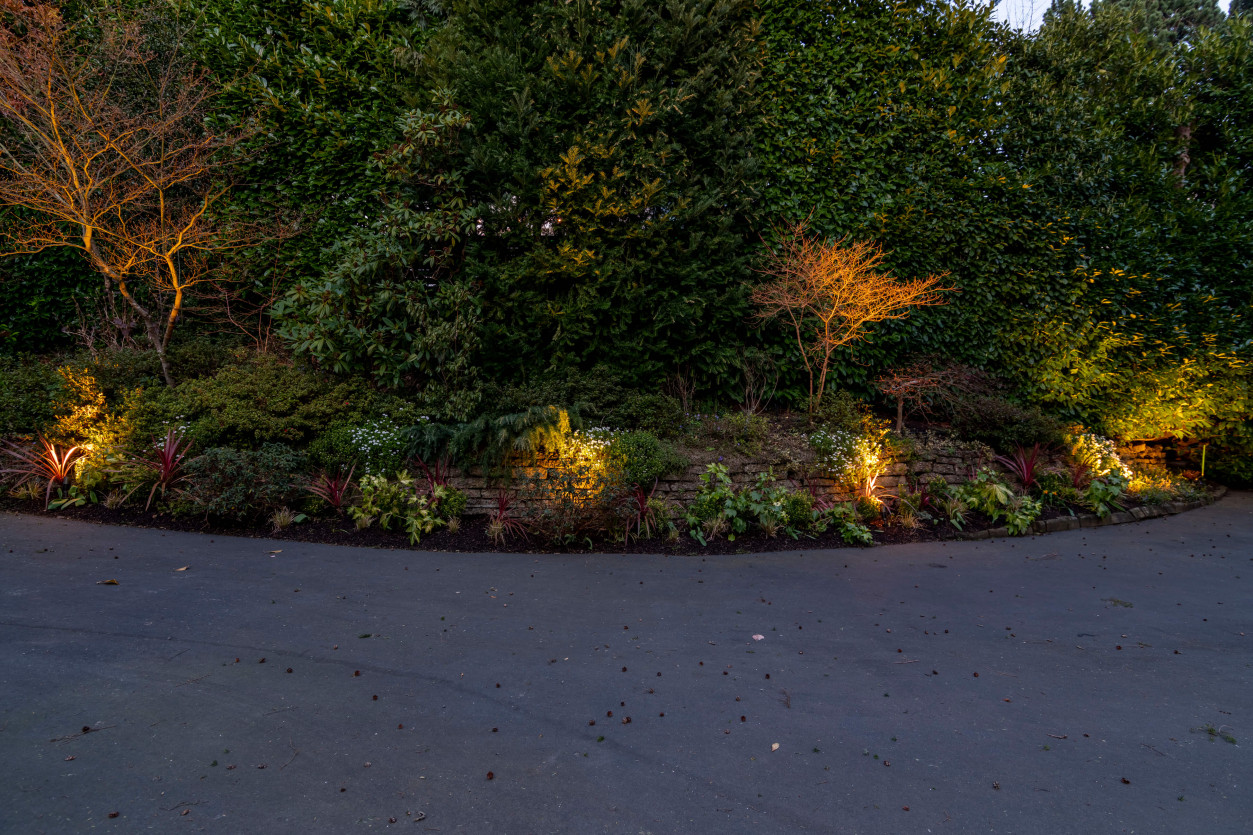 Garden bed lighting illuminating conifers and shrubs along Magnolia driveway.
