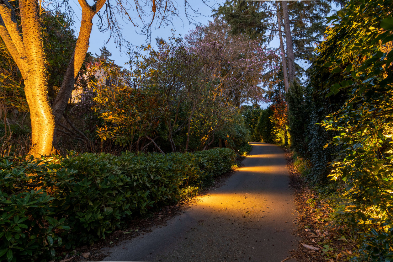 Curved driveway with tree uplighting and warm accent lighting towards Magnolia Seattle home.