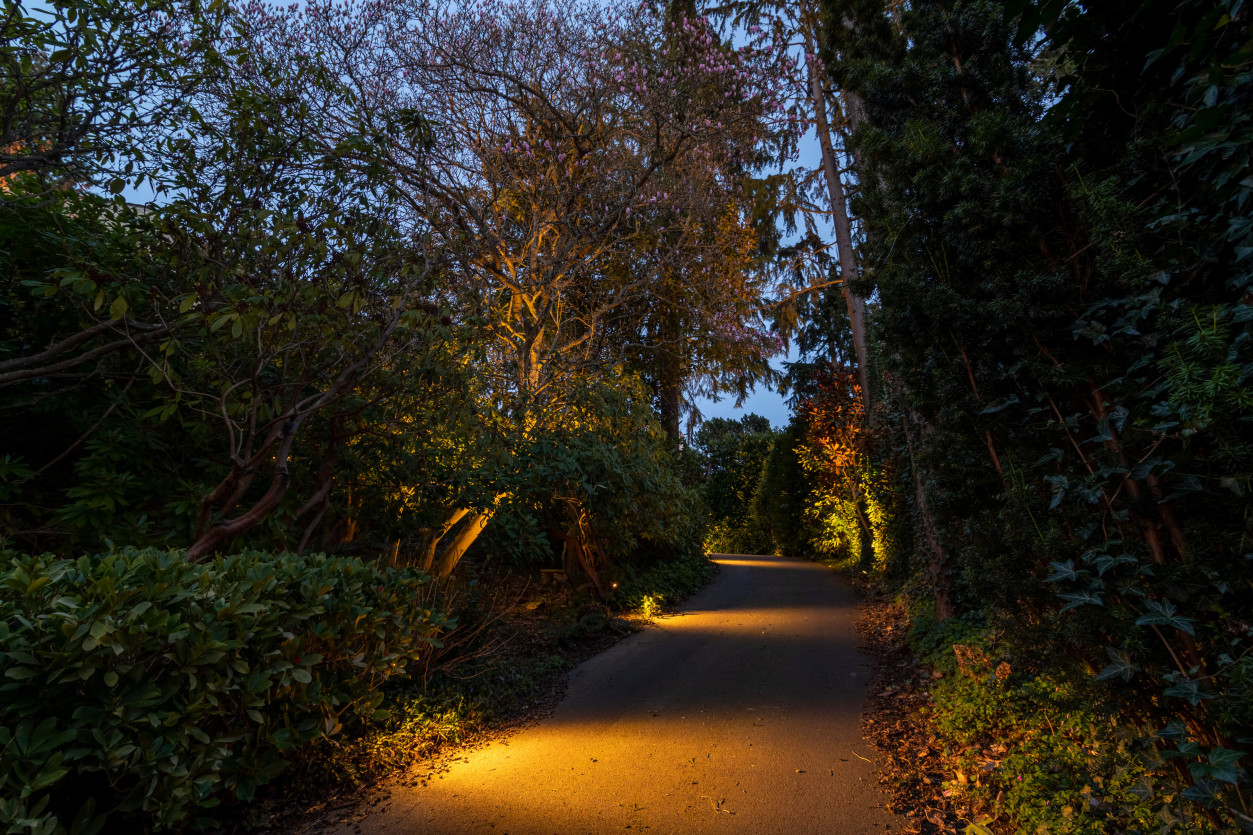 Sunset driveway view with pathway lighting illuminating trees and shrubs at Magnolia Seattle residence.