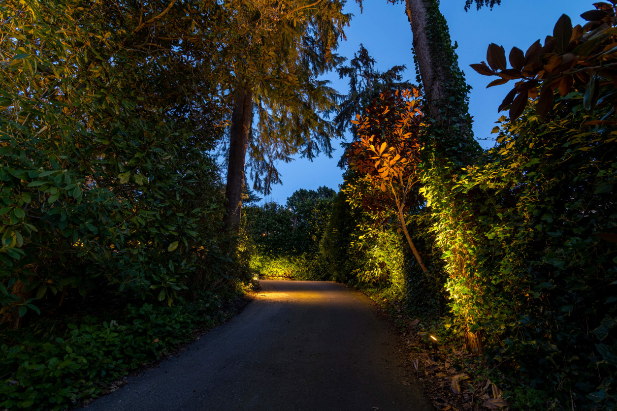 Illuminated driveway surrounded by tall hedges and trees leading to Magnolia Seattle home.