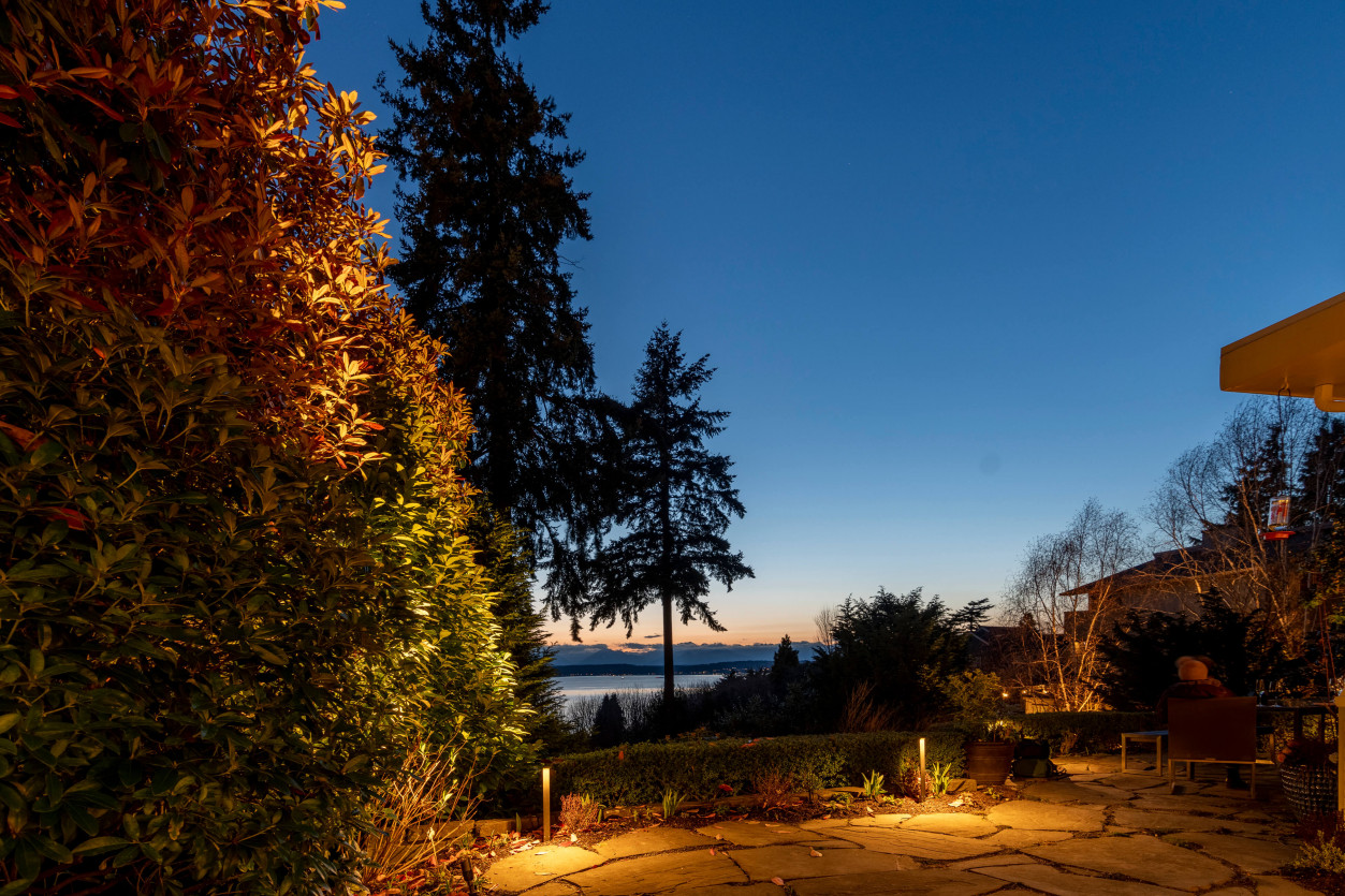 Backyard slope and retaining wall lighting illuminating trees with distant water horizon visible.