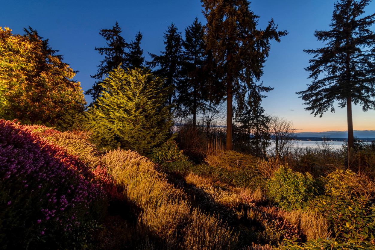 View garden with layered uplighting showcasing landscape grade changes and distant Puget Sound views.