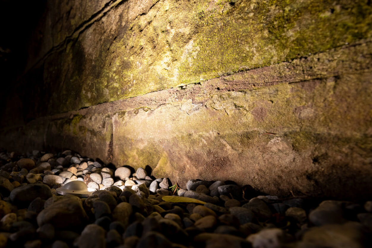 Boulder rock wall with uplighting highlighting stone textures and planting pockets at Magnolia home.