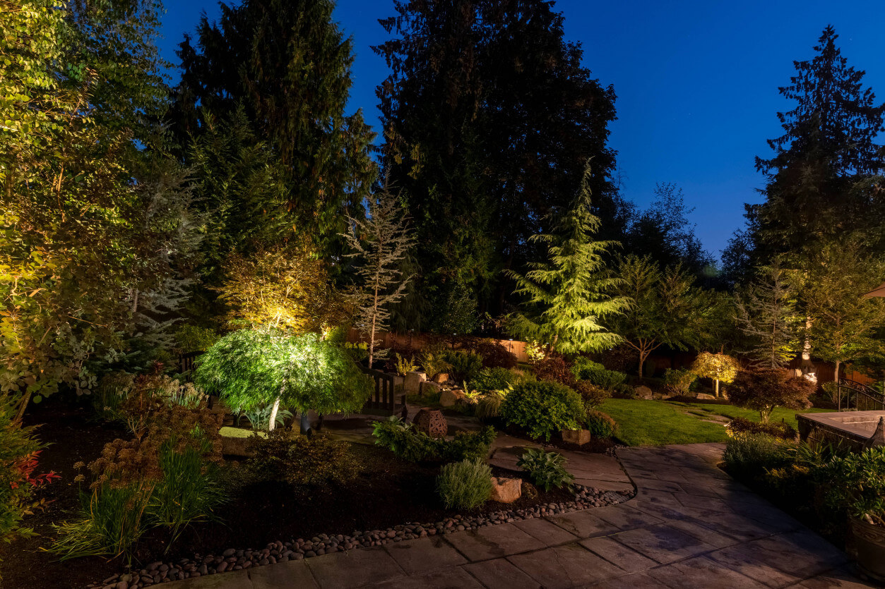 Lit pathway and plantings creating depth along back garden walkway