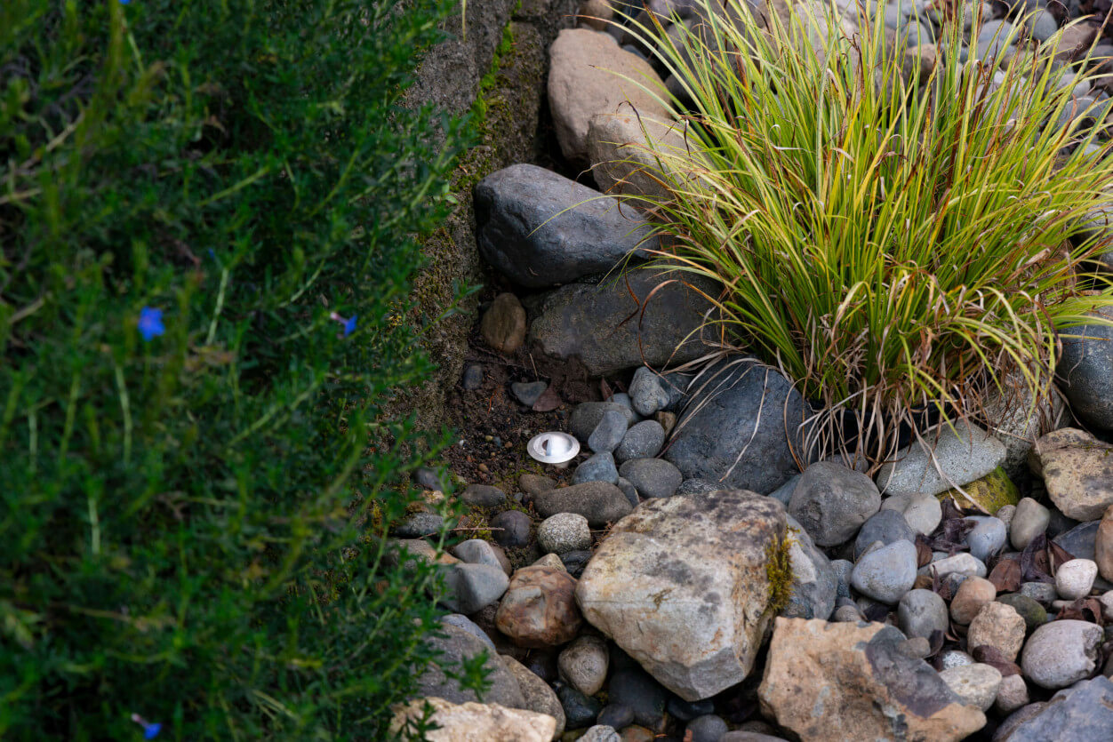 NWOL_PO_Flowers-0127