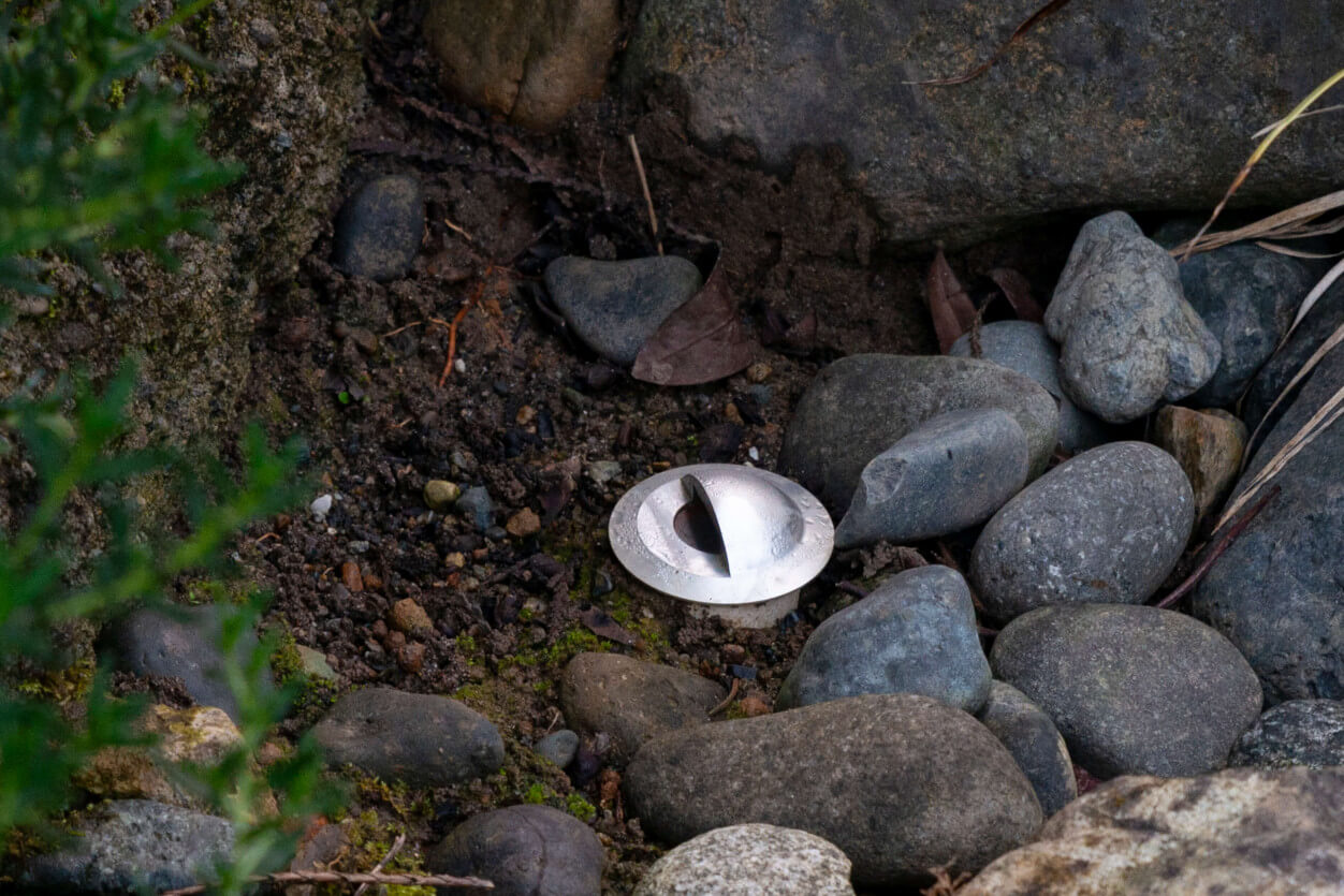 NWOL_PO_Flowers-0128-2