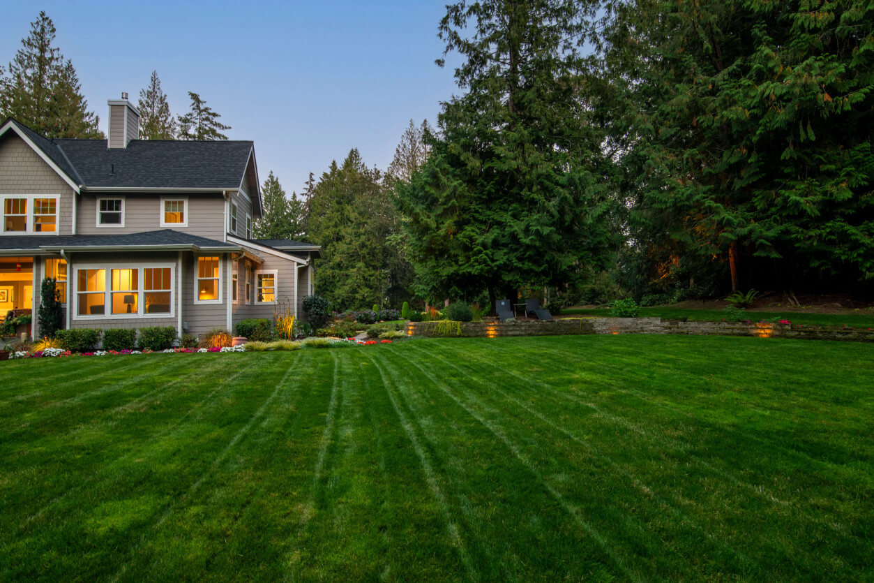 NWOL_PO_Flowers-3729