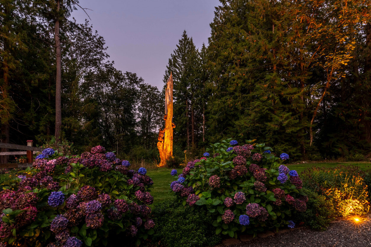 NWOL_PO_Flowers-3774