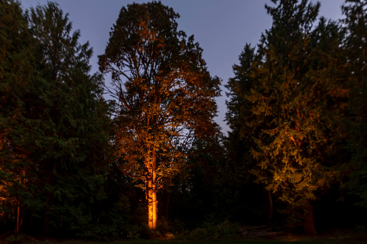 PortOrchard_NorthwestOutdoorLighting14