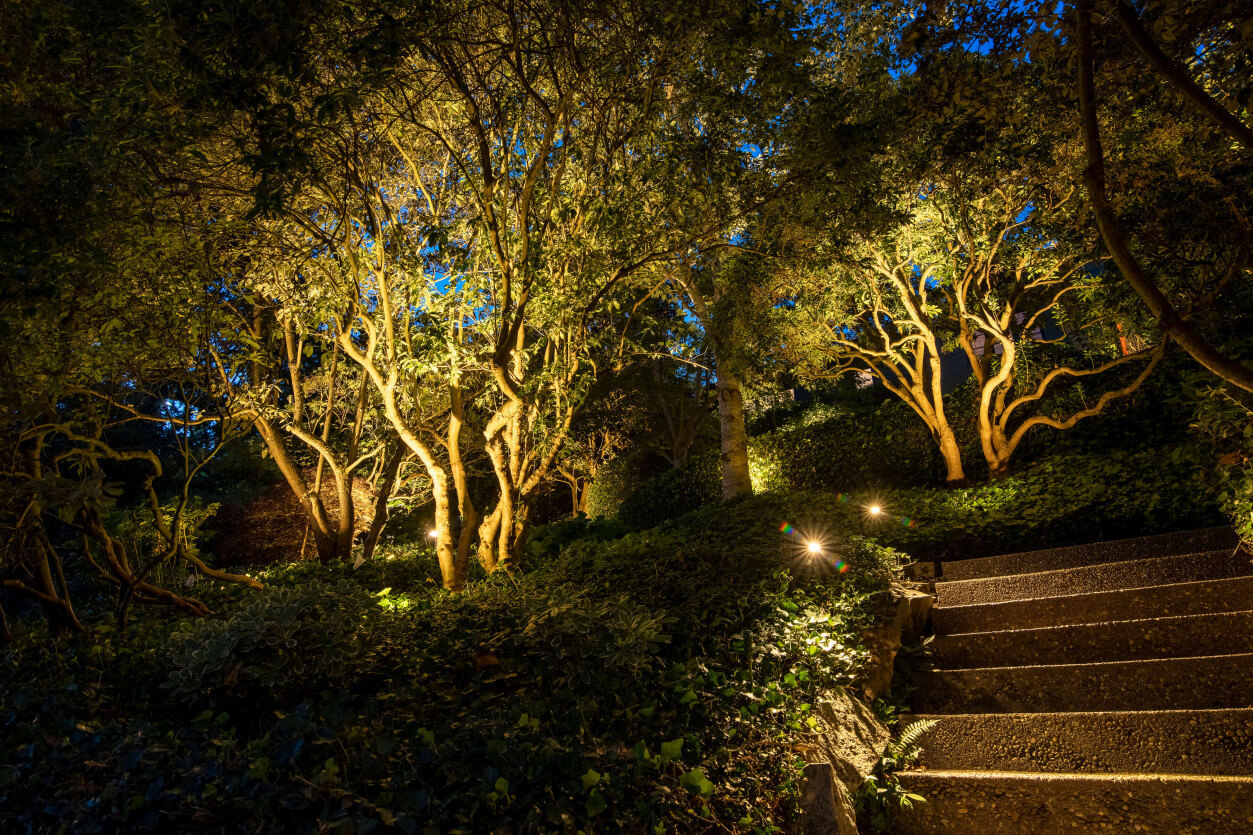 NWOL_Laurelhurst-0169