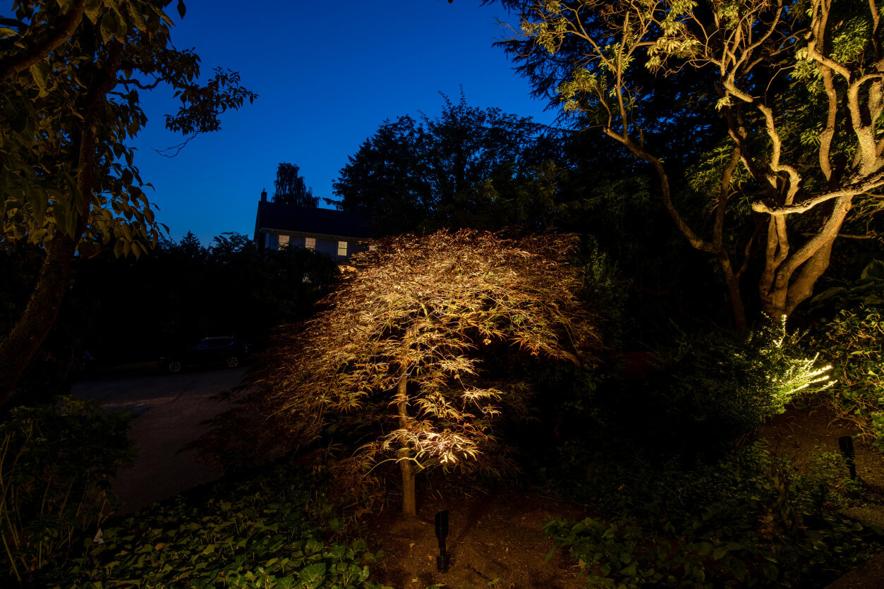 NWOL_Laurelhurst-0184