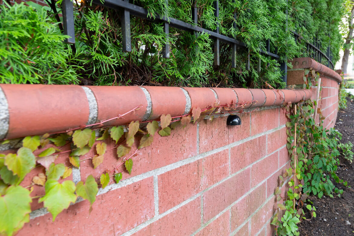 NWOL_Seattle_Harrington-4054