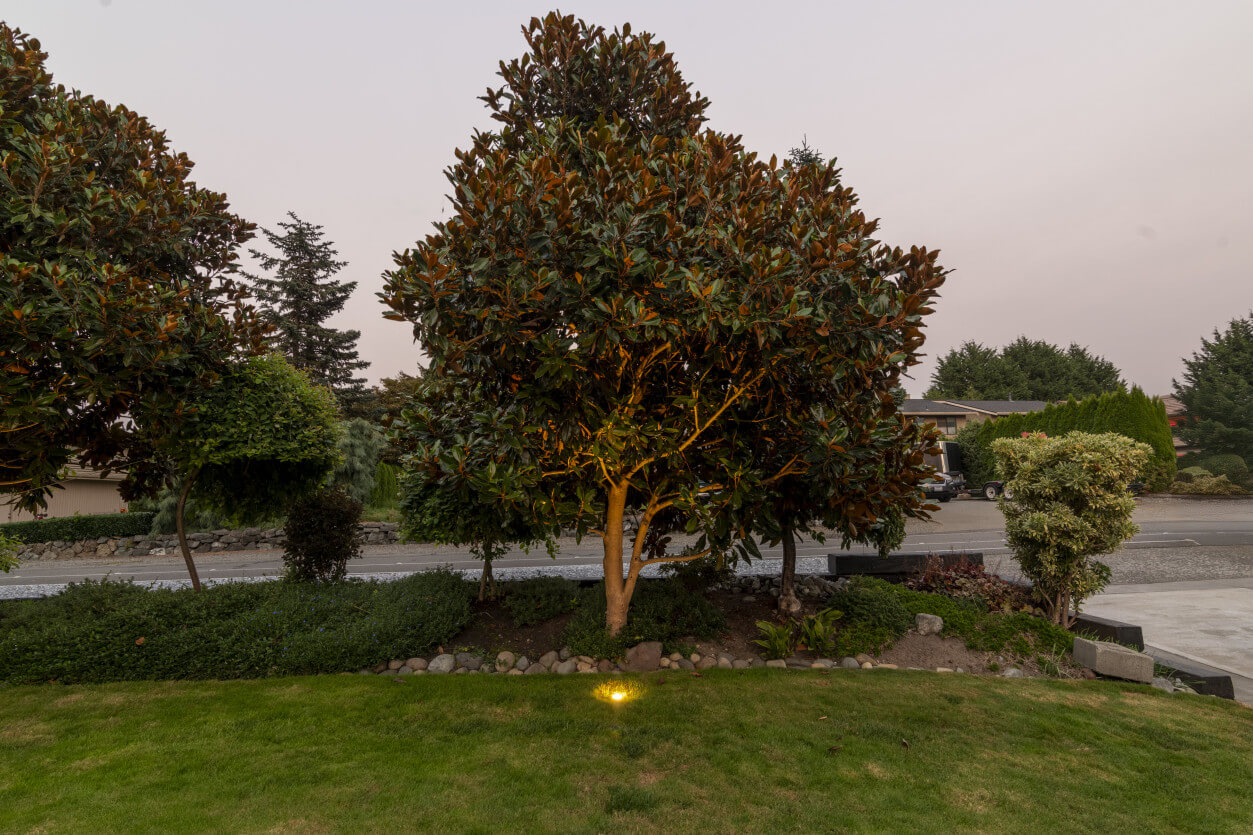 NWOL_Lake Tapps-3815