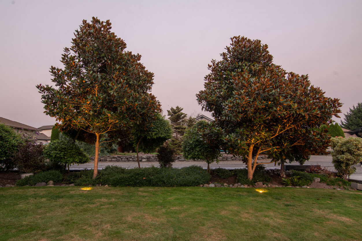 NWOL_Lake Tapps-3819