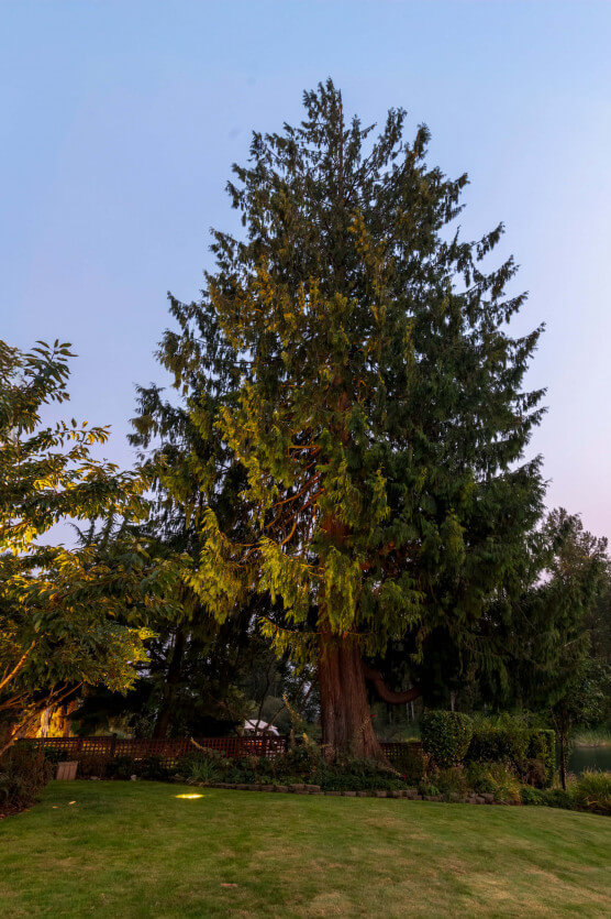 NWOL_Lake Tapps-3867