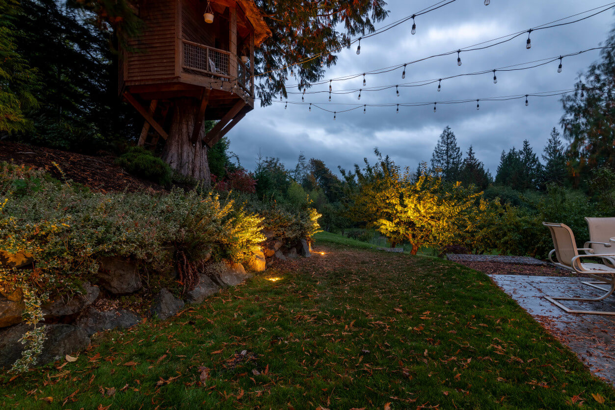 NWOL_Mt Vernon_Wolfe-2383