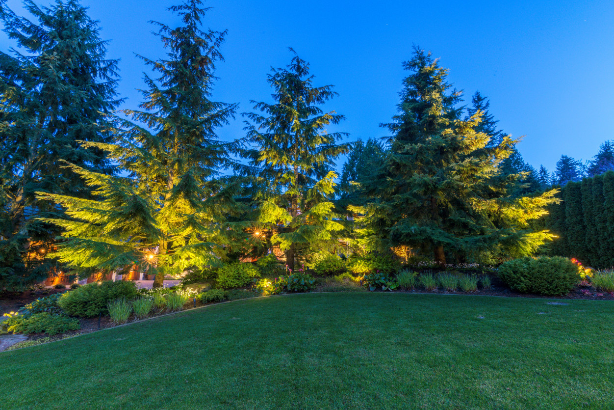 Bridle Trails_Bellevue10