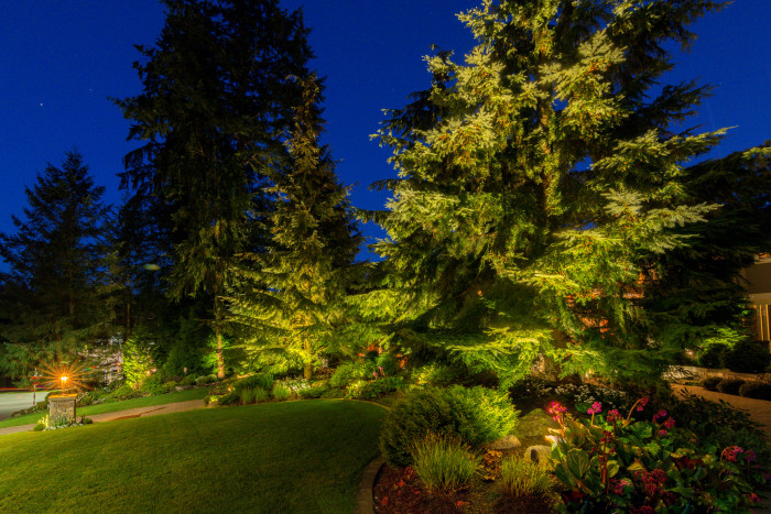 Bridle Trails_Bellevue21