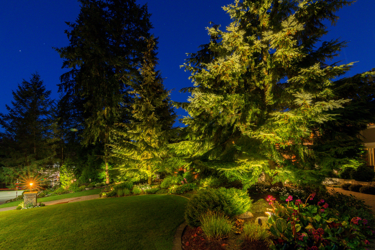 Bridle Trails_Bellevue21